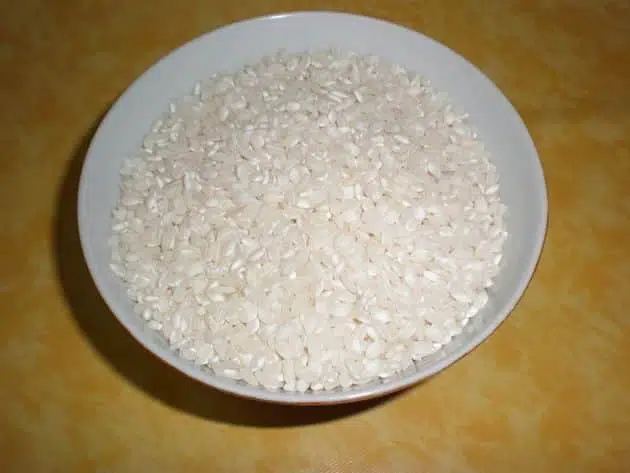 olympus-digital-camera-2663