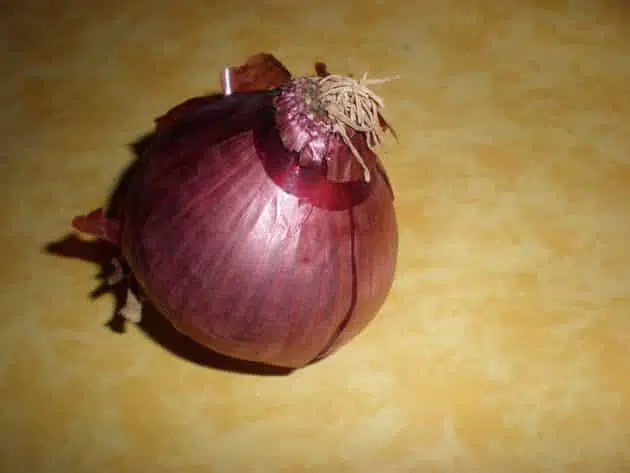 olympus-digital-camera-9739