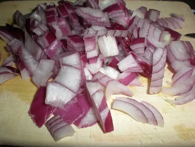 olympus-digital-camera-9740