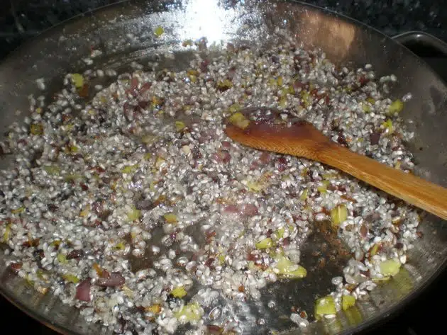 olympus-digital-camera-2665