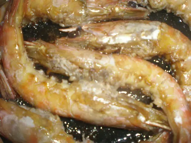 olympus-digital-camera-2656