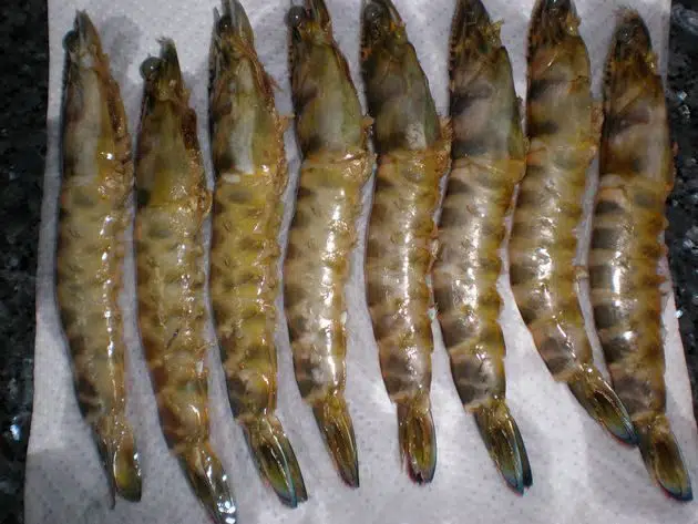 olympus-digital-camera-2648