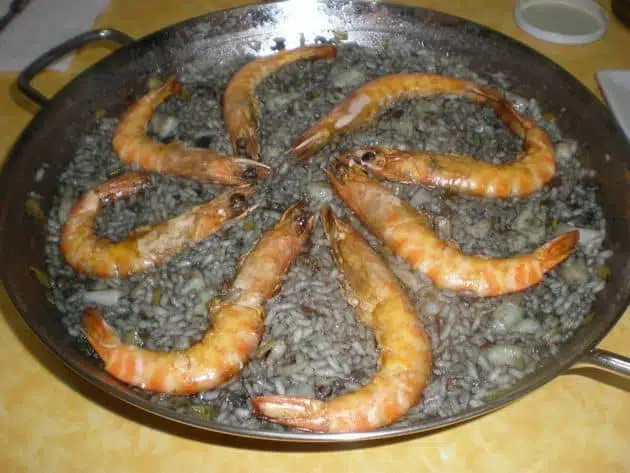 olympus-digital-camera-2671