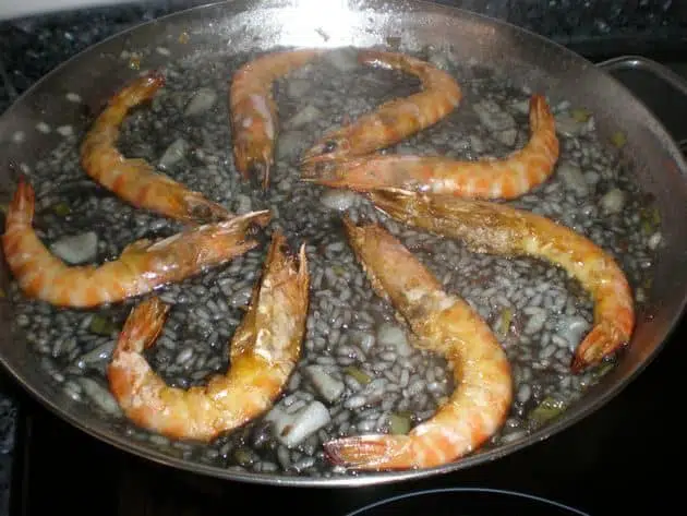 olympus-digital-camera-2669