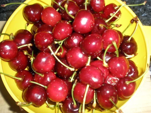 olympus-digital-camera-2885