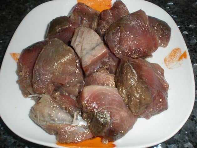 olympus-digital-camera-3091