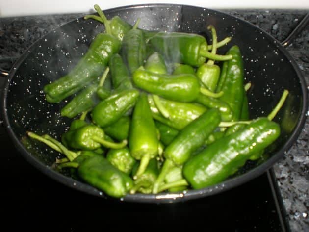 olympus-digital-camera-2894