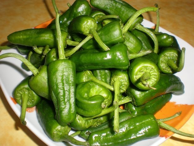 olympus-digital-camera-2892