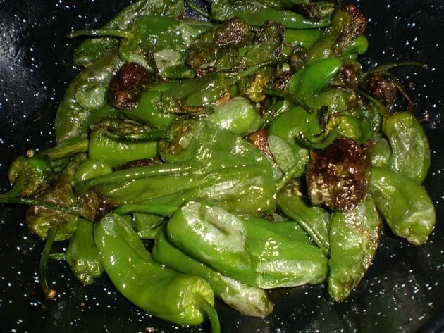 olympus-digital-camera-2896