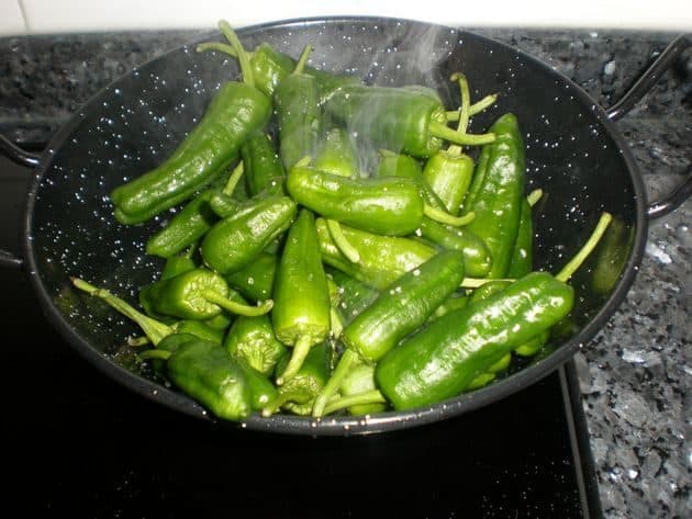 olympus-digital-camera-2895