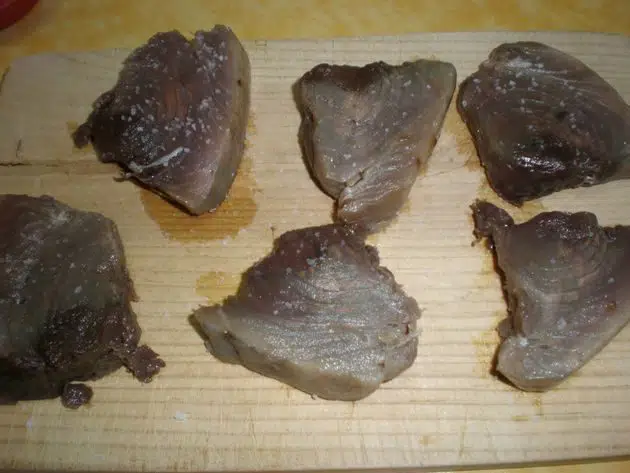 olympus-digital-camera-3164