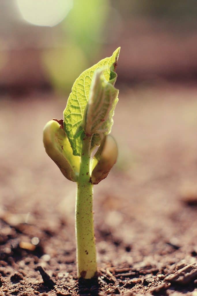 1990ac324e26b7e716caf3c87ed6c195