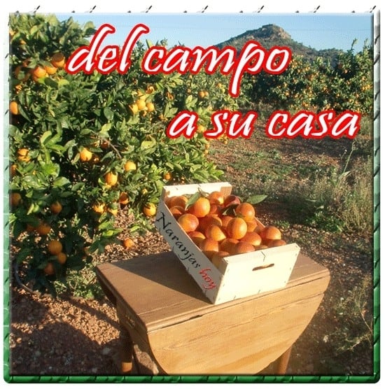 f64f51f7a96bb14202569a0586002bf4