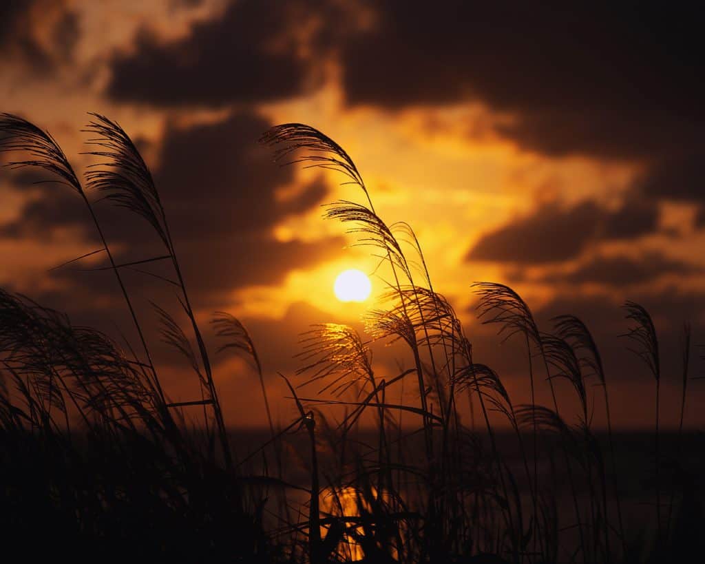 8f096abef1c84b031550e510893c2d4d