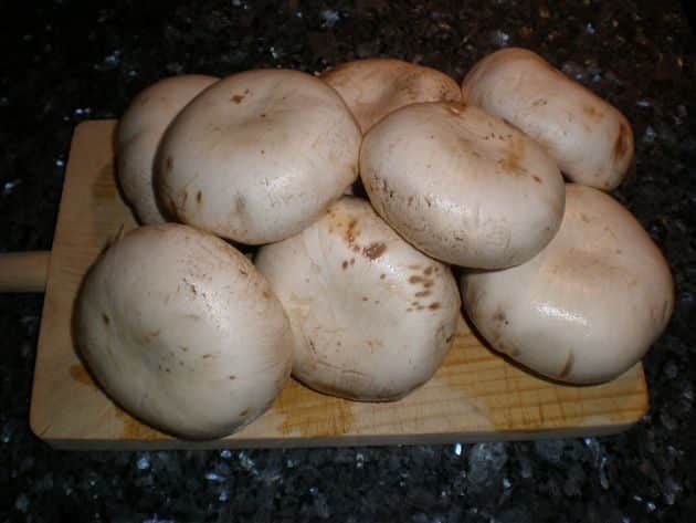 olympus-digital-camera-4618