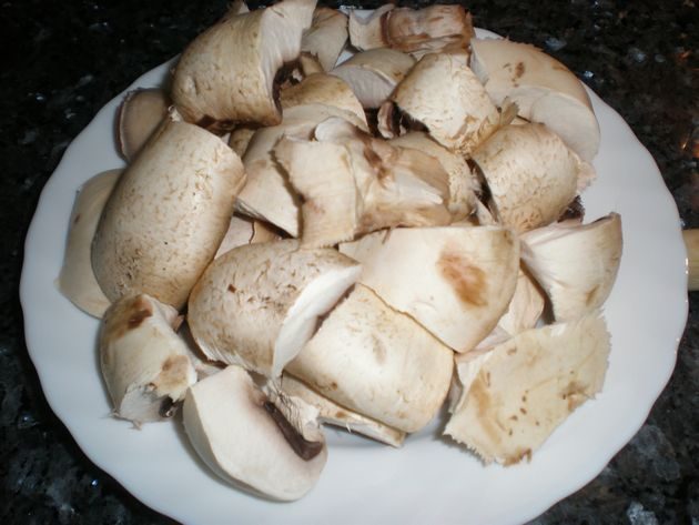 olympus-digital-camera-4619