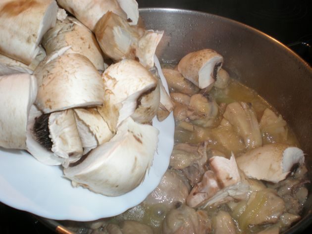 olympus-digital-camera-4625