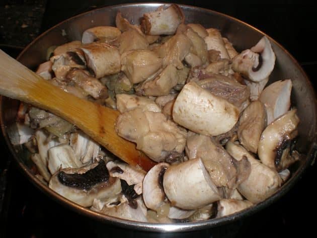 olympus-digital-camera-4626