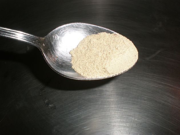 olympus-digital-camera-4622