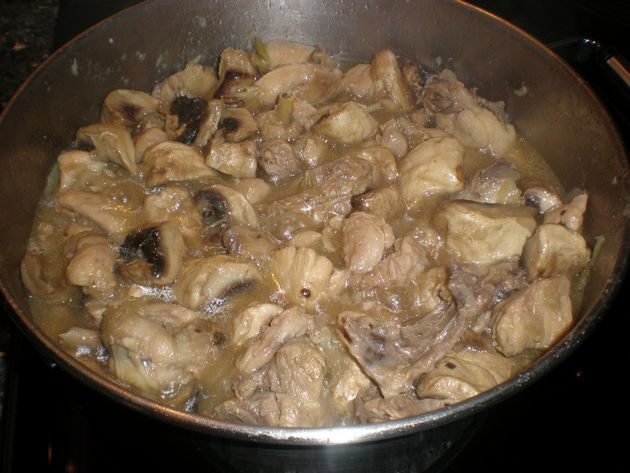 olympus-digital-camera-4629