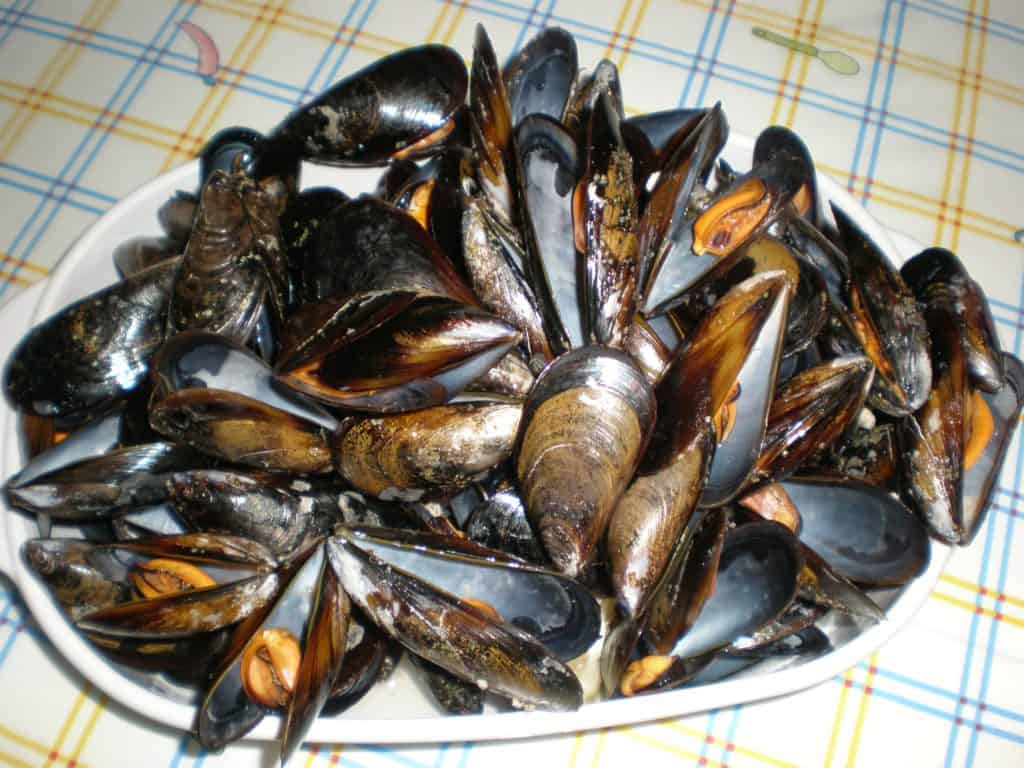 e6c5ec4137a2831befad7e6d46559451