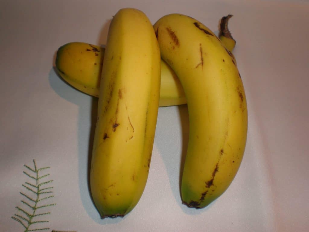 af08ba4bce655d5aaad3672b255643fe