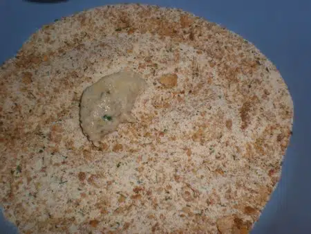 olympus-digital-camera-5569