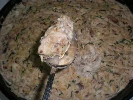 olympus-digital-camera-5566