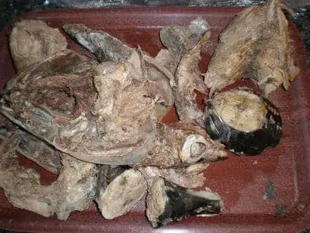 olympus-digital-camera-5541