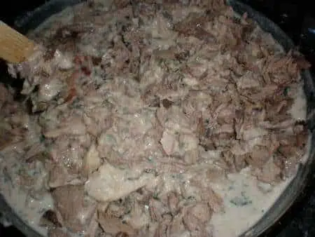 olympus-digital-camera-5558