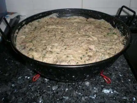 olympus-digital-camera-5560