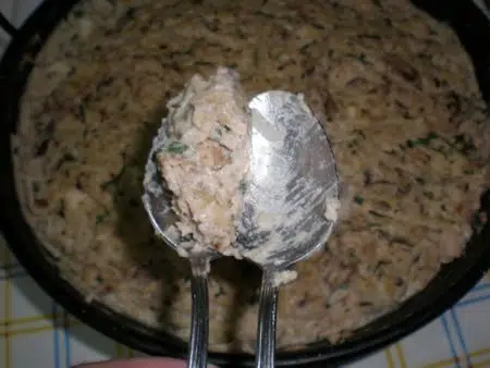 olympus-digital-camera-5567