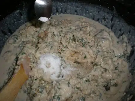 olympus-digital-camera-5556