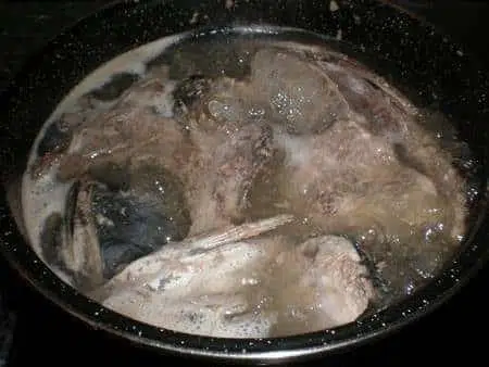 olympus-digital-camera-5539