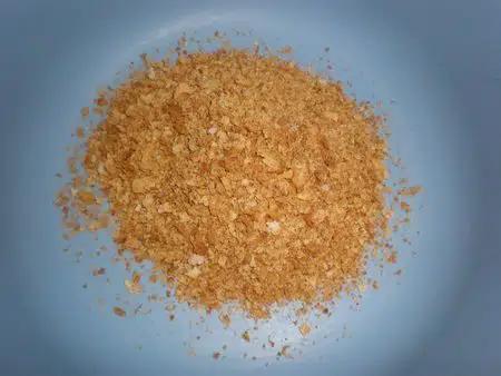 olympus-digital-camera-5562