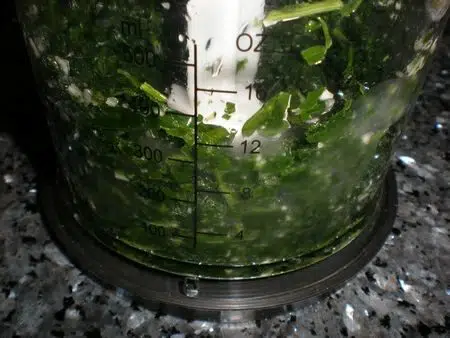 olympus-digital-camera-5548