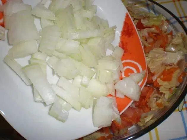 olympus-digital-camera-5793