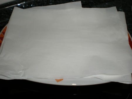 Bandeja con papel absorbente