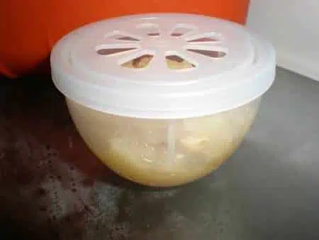 olympus-digital-camera-6856