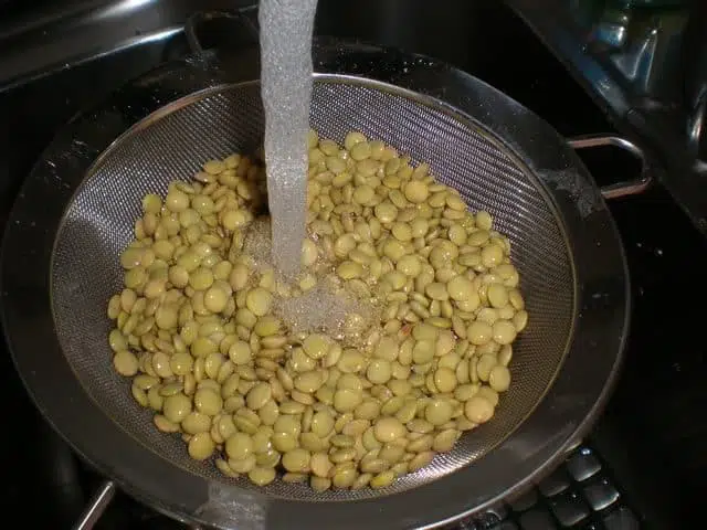 Lavar lentejas olympus-digital-camera-7365