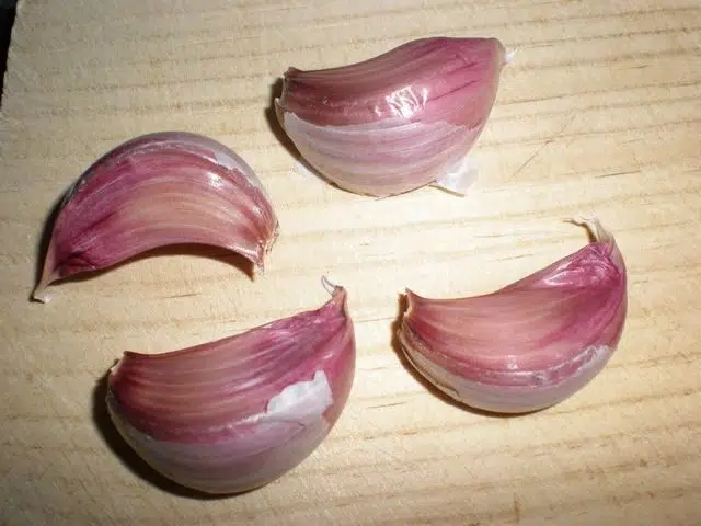 Ajo olympus-digital-camera-7364