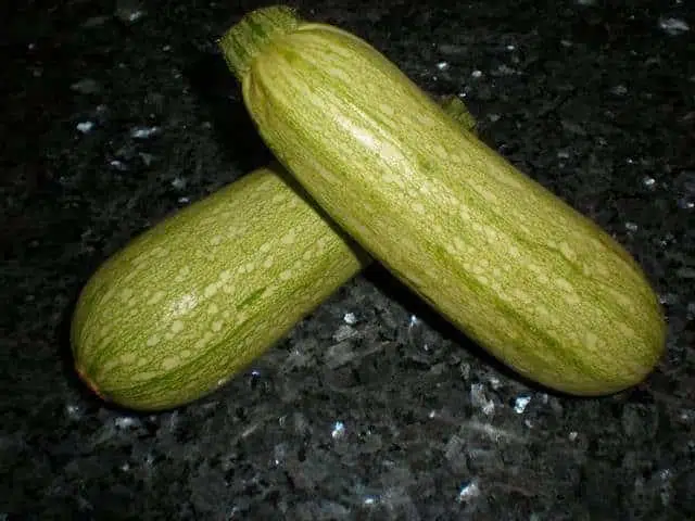 Calabacines olympus-digital-camera-7362