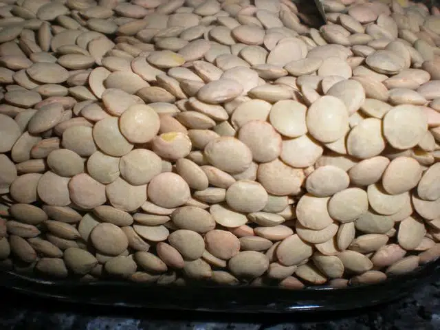 Lentejas olympus-digital-camera-7361