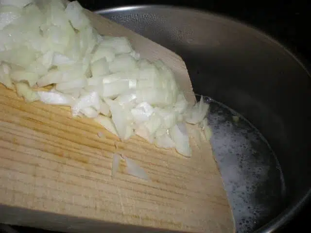 Meter cebolla olympus-digital-camera-7370