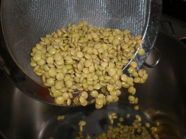 Meter las lentejas olympus-digital-camera-7366