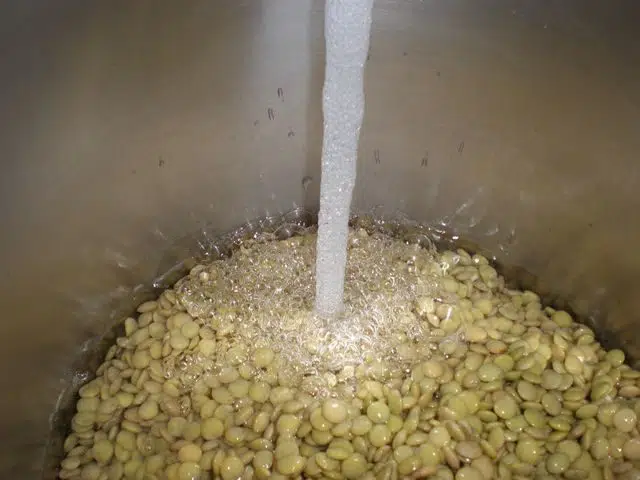 Echar agua a las lentejas olympus-digital-camera-7367