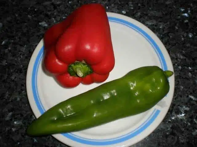 Pimientos rojo y verde olympus-digital-camera-7905