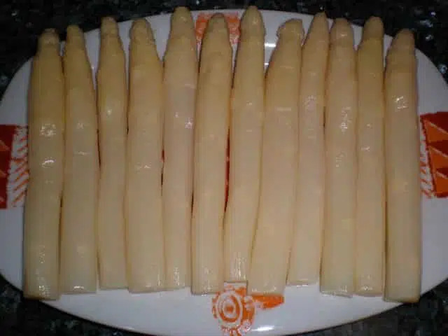 olympus-digital-camera-7974