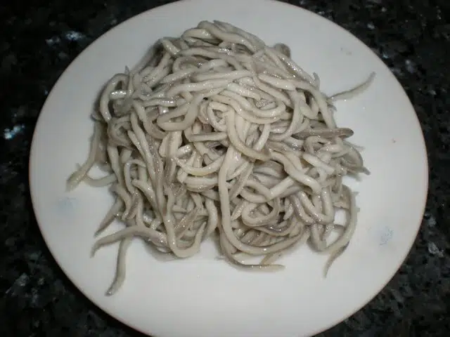 Gulas olympus-digital-camera-7718