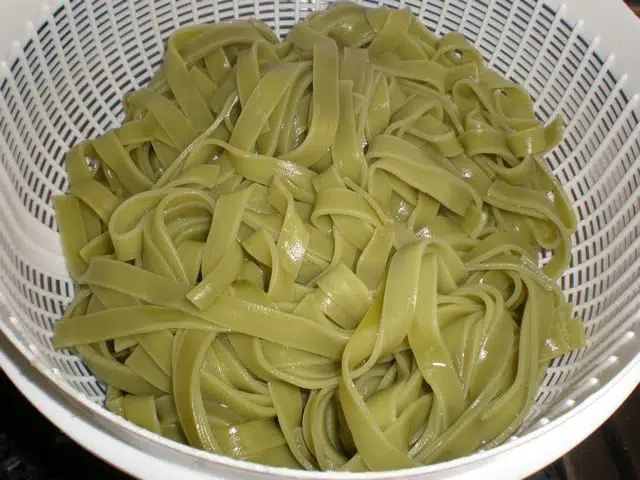 Pasta nidos olympus-digital-camera-7726